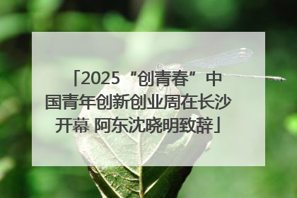 2025“创青春”中国青年创新创业周在长沙开幕 阿东沈晓明致辞