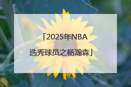 2025年NBA选秀球员之杨瀚森