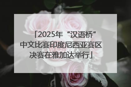 2025年“汉语桥”中文比赛印度尼西亚赛区决赛在雅加达举行