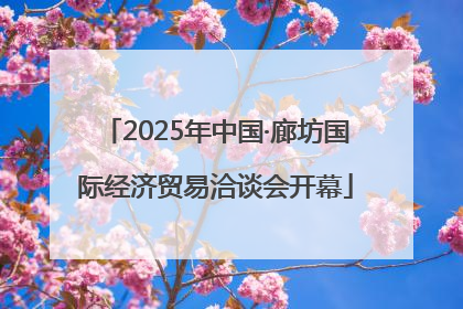 2025年中国·廊坊国际经济贸易洽谈会开幕