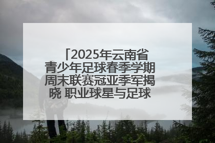 2025年云南省青少年足球春季学期周末联赛冠亚季军揭晓 职业球星与足球小将共享荣耀时刻