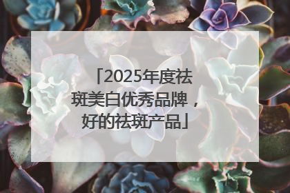 2025年度祛斑美白优秀品牌，好的祛斑产品