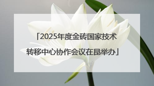 2025年度金砖国家技术转移中心协作会议在昆举办