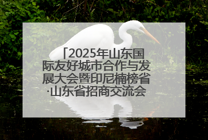 2025年山东国际友好城市合作与发展大会暨印尼楠榜省·山东省招商交流会在济南槐荫举行