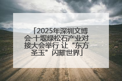 2025年深圳文博会·十堰绿松石产业对接大会举行 让“东方圣玉”闪耀世界