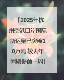 2025年杭州空港口岸国际货运量已突破10万吨 较去年同期提前一周