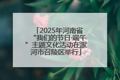 2025年河南省“我们的节日·端午”主题文化活动在漯河市召陵区举行