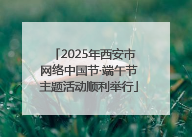 2025年西安市网络中国节·端午节主题活动顺利举行