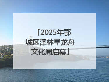 2025年鄂城区泽林旱龙舟文化周启幕