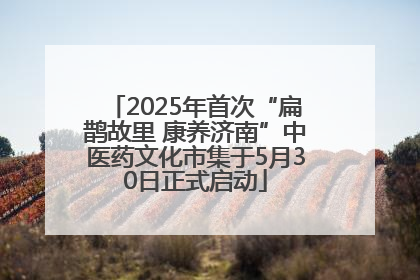 2025年首次“扁鹊故里 康养济南”中医药文化市集于5月30日正式启动