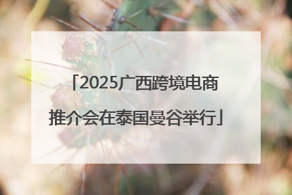 2025广西跨境电商推介会在泰国曼谷举行