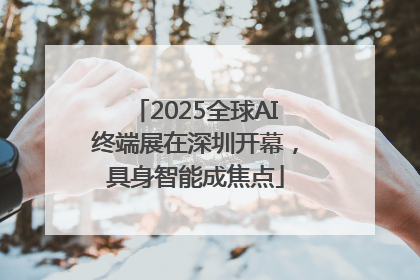 2025全球AI终端展在深圳开幕，具身智能成焦点
