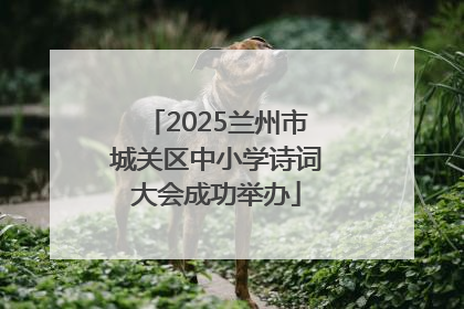 2025兰州市城关区中小学诗词大会成功举办