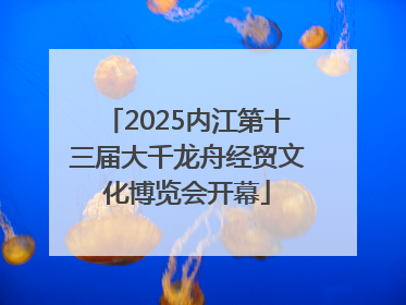 2025内江第十三届大千龙舟经贸文化博览会开幕