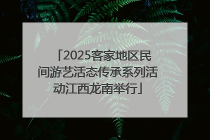 2025客家地区民间游艺活态传承系列活动江西龙南举行