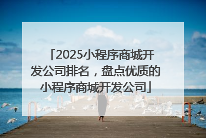 2025小程序商城开发公司排名，盘点优质的小程序商城开发公司