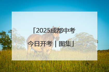 2025成都中考今日开考｜图集