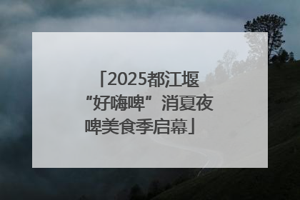 2025都江堰“好嗨啤”消夏夜啤美食季启幕
