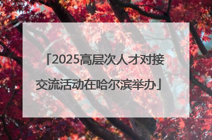 2025高层次人才对接交流活动在哈尔滨举办