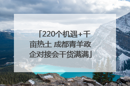 220个机遇+千亩热土 成都青羊政企对接会干货满满
