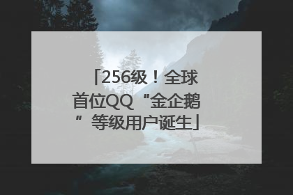 256级！全球首位QQ“金企鹅”等级用户诞生