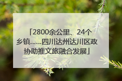 2800余公里、24个乡镇……四川达州达川区政协助推文旅融合发展