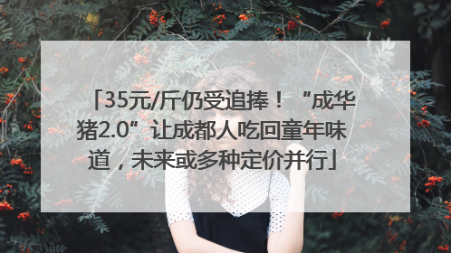 35元/斤仍受追捧！“成华猪2.0”让成都人吃回童年味道，未来或多种定价并行