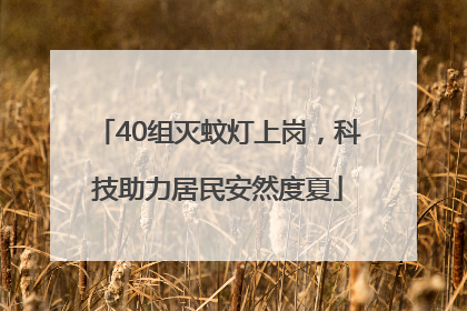 40组灭蚊灯上岗，科技助力居民安然度夏