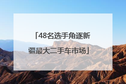 48名选手角逐新疆最大二手车市场
