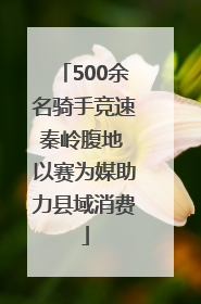 500余名骑手竞速秦岭腹地 以赛为媒助力县域消费