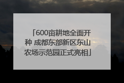600亩耕地全面开种 成都东部新区东山农场示范园正式亮相