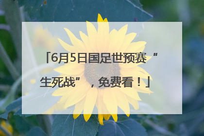 6月5日国足世预赛“生死战”，免费看！