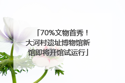 70%文物首秀！大河村遗址博物馆新馆即将开馆试运行