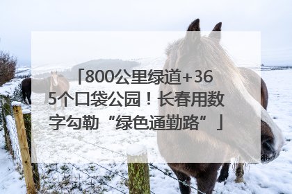 800公里绿道+365个口袋公园！长春用数字勾勒“绿色通勤路”