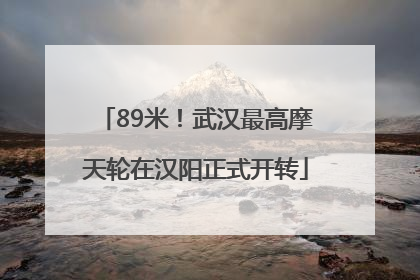 89米！武汉最高摩天轮在汉阳正式开转