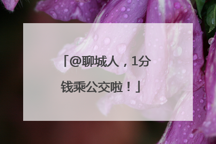 @聊城人，1分钱乘公交啦！
