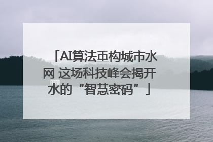 AI算法重构城市水网 这场科技峰会揭开水的“智慧密码”