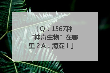 Q：1567种“神奇生物”在哪里？A：海淀！