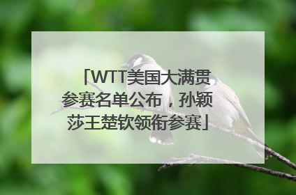 WTT美国大满贯参赛名单公布，孙颖莎王楚钦领衔参赛