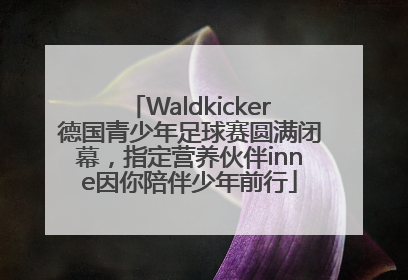 Waldkicker德国青少年足球赛圆满闭幕，指定营养伙伴inne因你陪伴少年前行